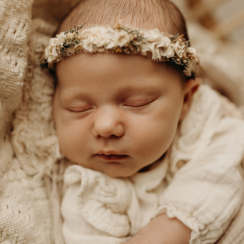 Newborn Studio Mini Session